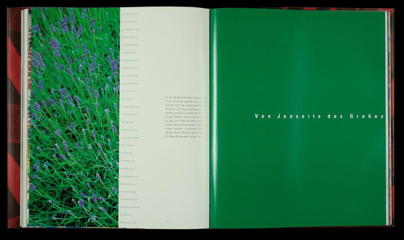 Die Welt zu Deinen Füßen