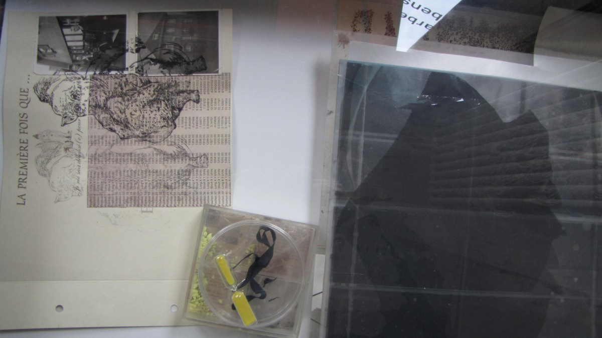 Jso Maeder "FLUCHTKUNST, DISSOZIATIV", Bild: "Aufstellung" vom 27.04.-10.05.2012 in der Denkerei, Berlin..